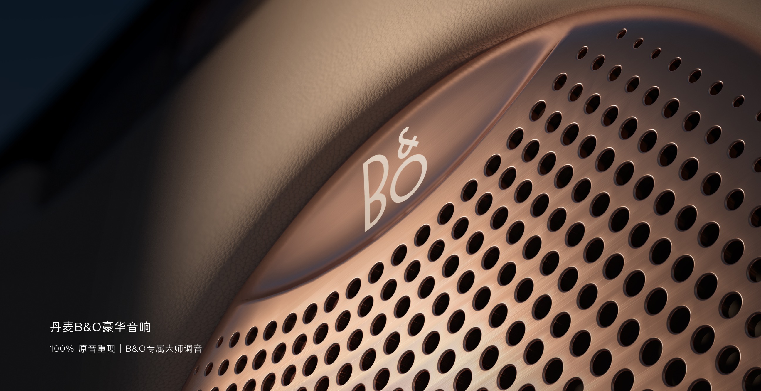 全新一代智己 LS6 官方 B&O 扬声器细节图